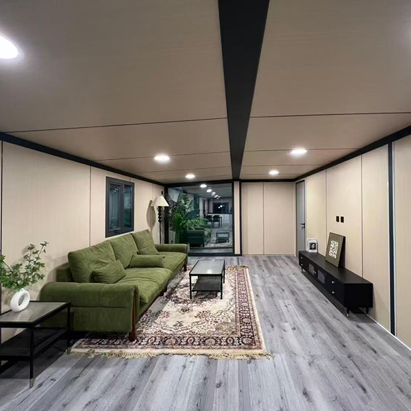 Dual-wing expandable container house